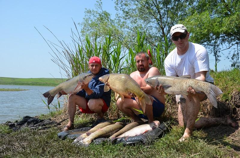 CUPA BECKER SARULESTI - pescuit-crap-sarulesti-10.JPG